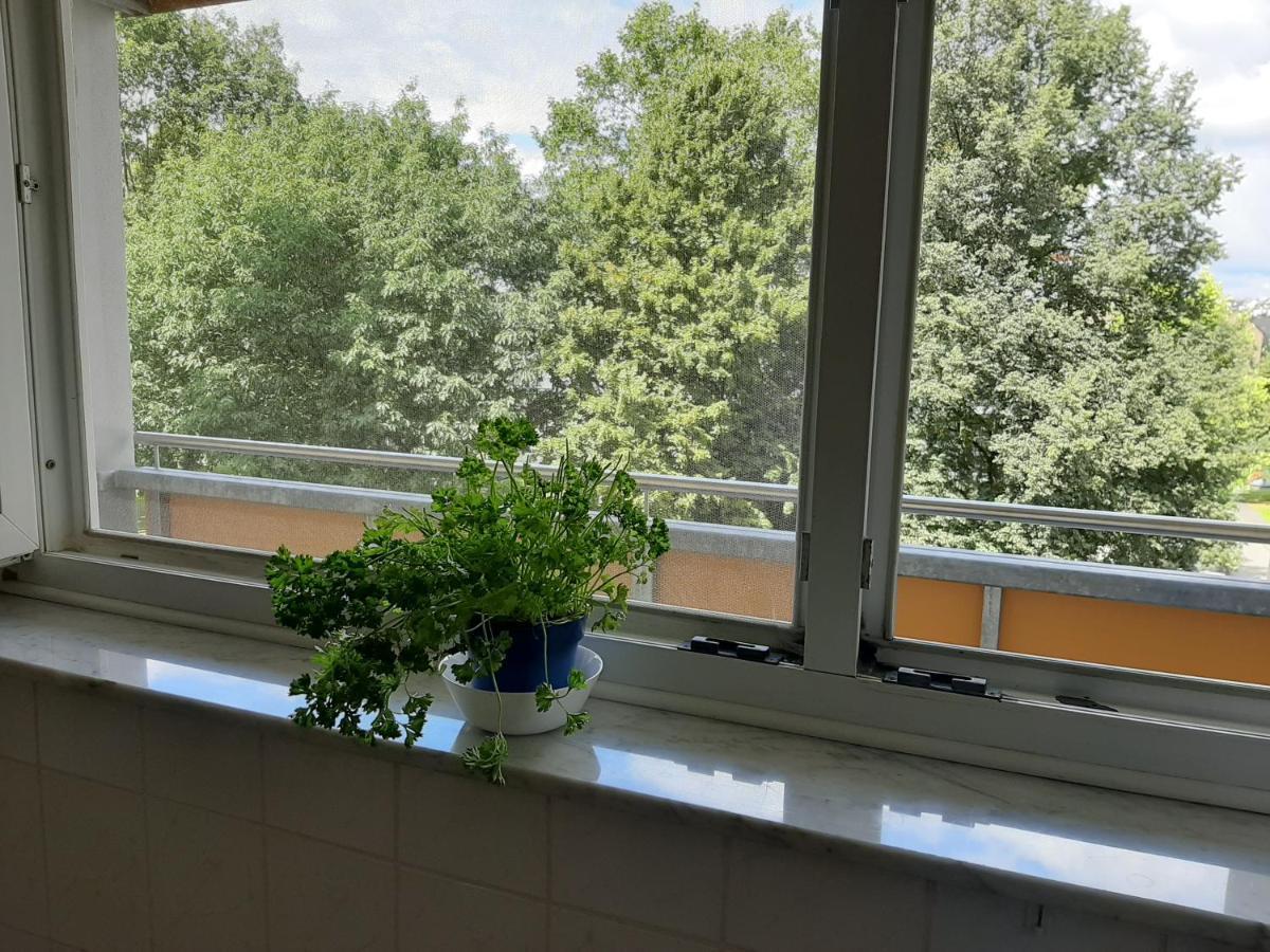 Homesweethome Free Parking Wifi Elevator Balcony Kassel Buitenkant foto