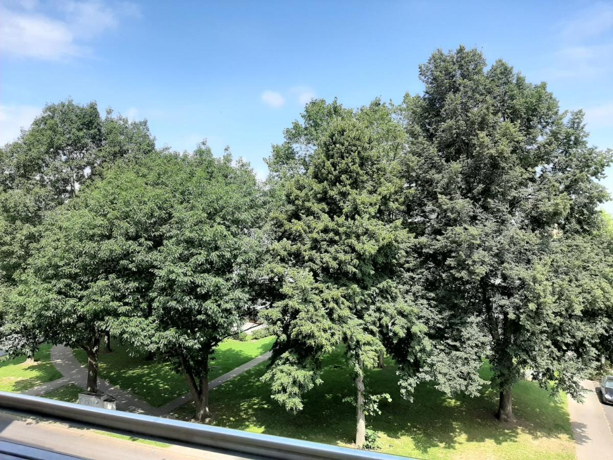 Homesweethome Free Parking Wifi Elevator Balcony Kassel Buitenkant foto