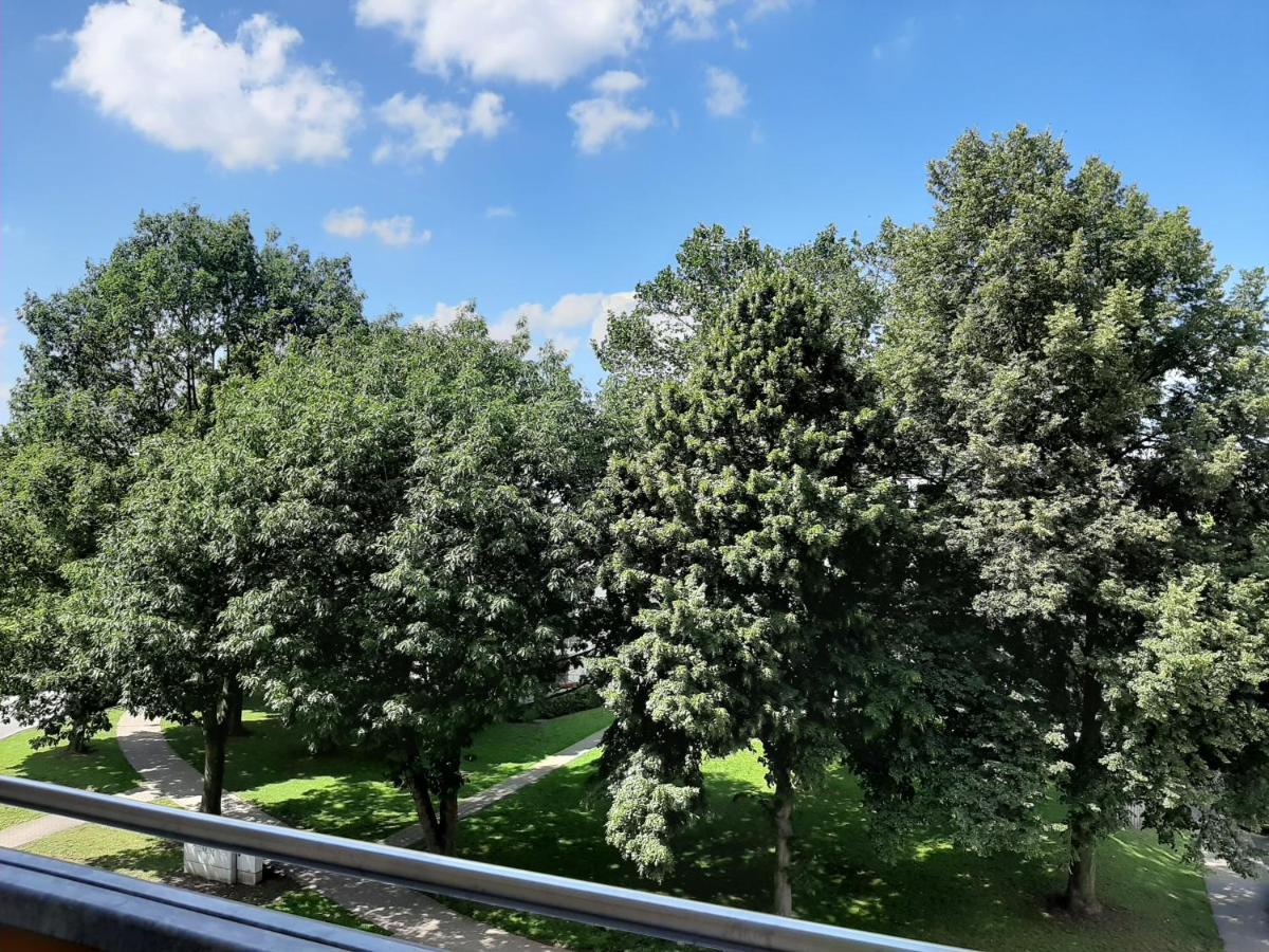 Homesweethome Free Parking Wifi Elevator Balcony Kassel Buitenkant foto